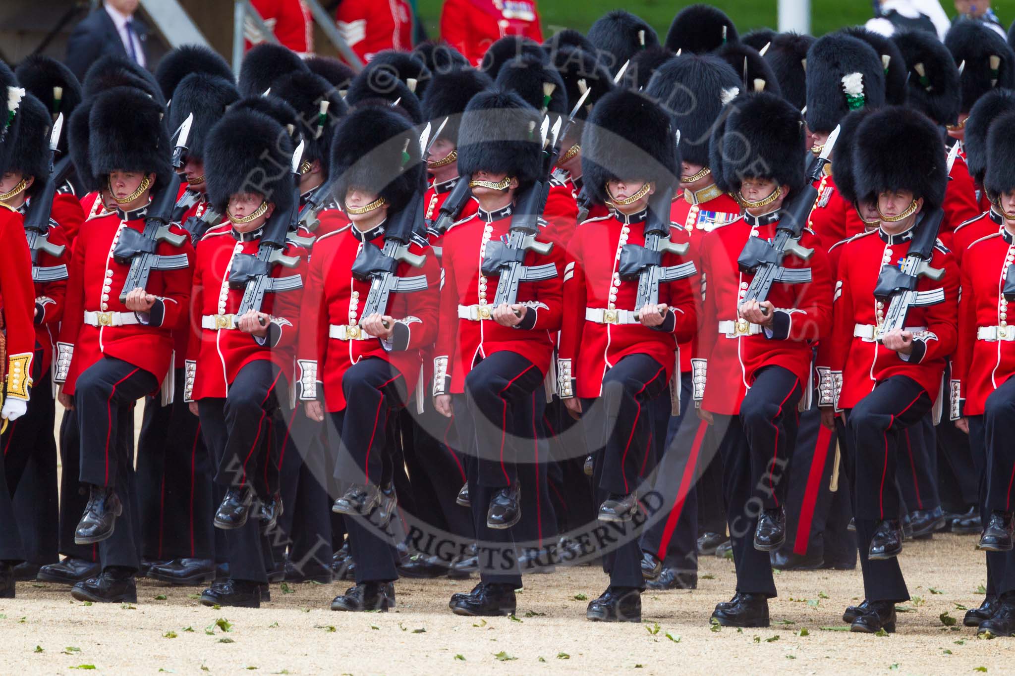 The Colonel's Review 2015.
Horse Guards Parade, Westminster,
London,

United Kingdom,
on 06 June 2015 at 11:31, image #353