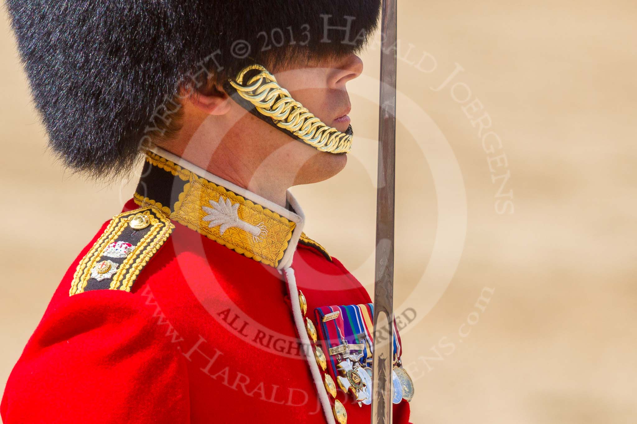 The Colonel's Review 2015.
Horse Guards Parade, Westminster,
London,

United Kingdom,
on 06 June 2015 at 11:32, image #367