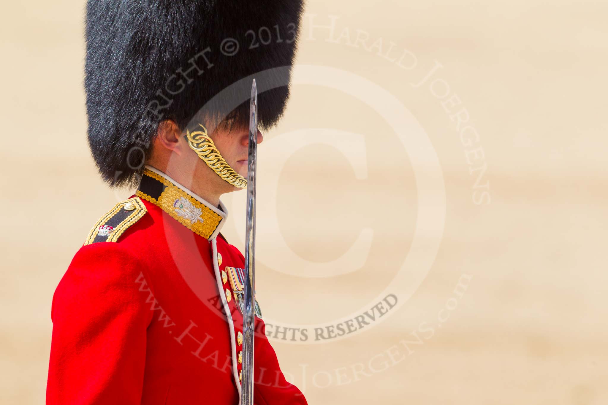 The Colonel's Review 2015.
Horse Guards Parade, Westminster,
London,

United Kingdom,
on 06 June 2015 at 11:33, image #368