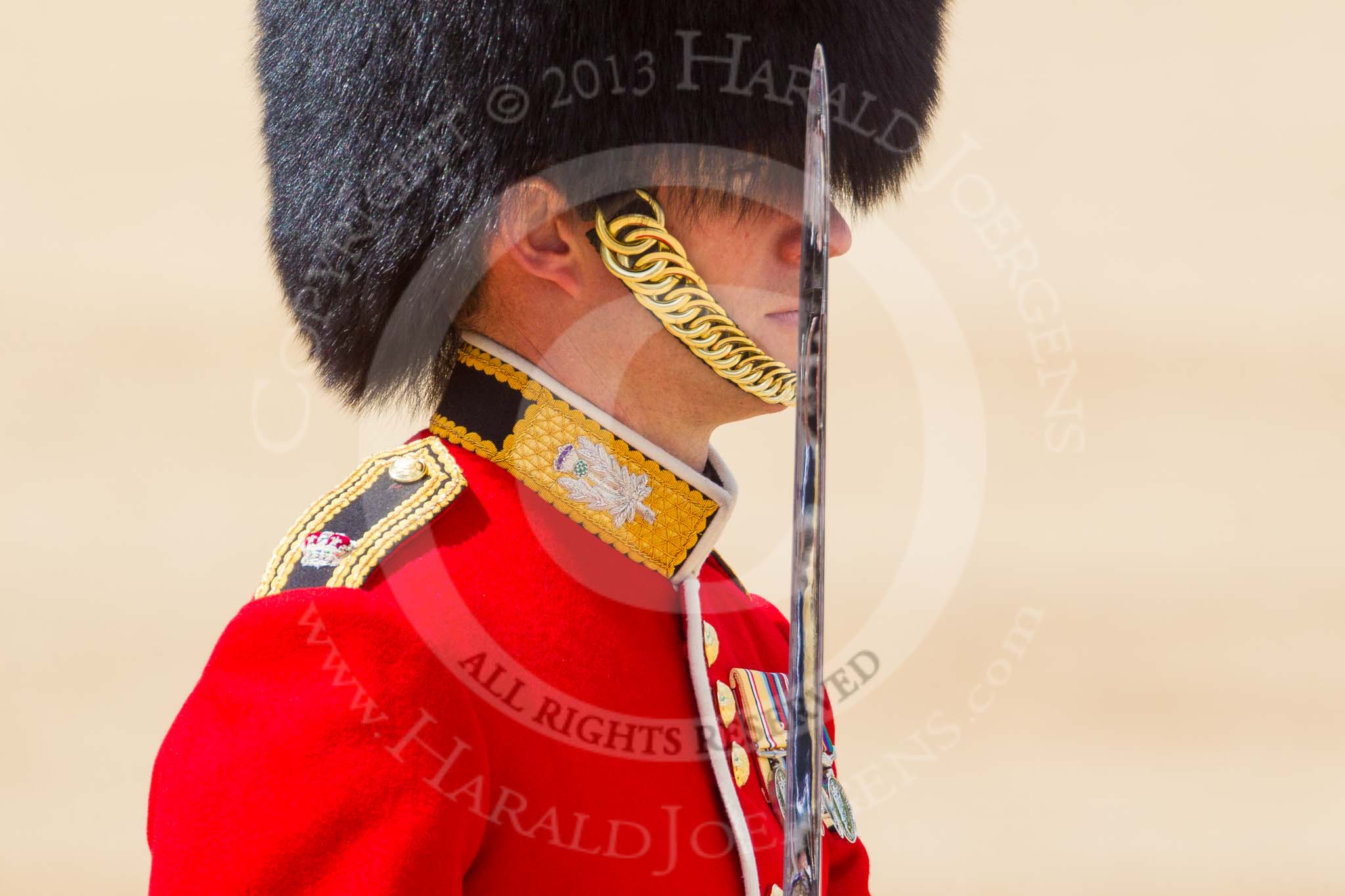 The Colonel's Review 2015.
Horse Guards Parade, Westminster,
London,

United Kingdom,
on 06 June 2015 at 11:33, image #369