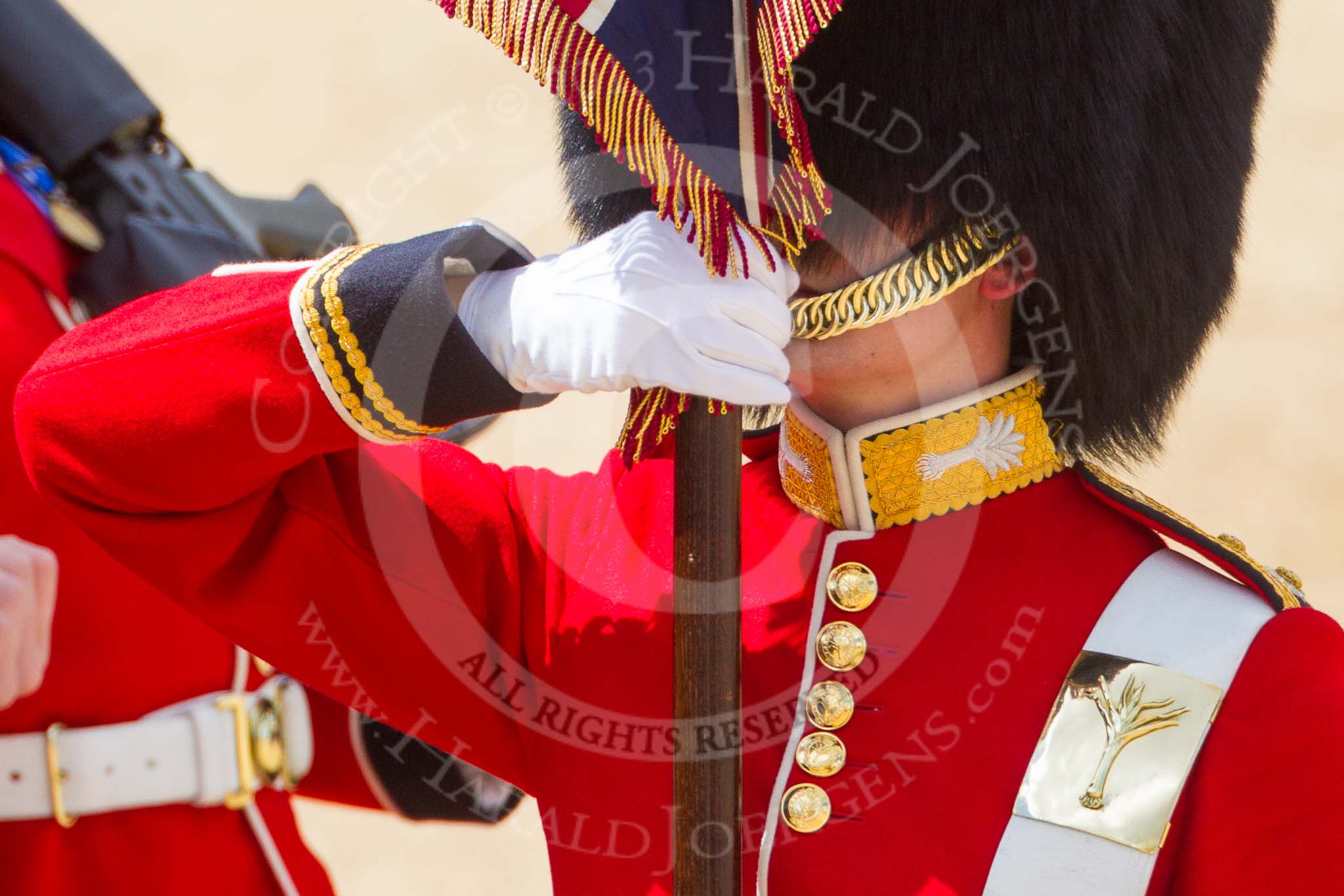 The Colonel's Review 2015.
Horse Guards Parade, Westminster,
London,

United Kingdom,
on 06 June 2015 at 11:33, image #373