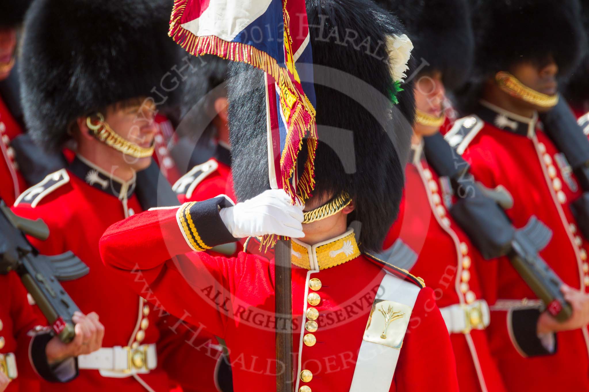 The Colonel's Review 2015.
Horse Guards Parade, Westminster,
London,

United Kingdom,
on 06 June 2015 at 11:33, image #374