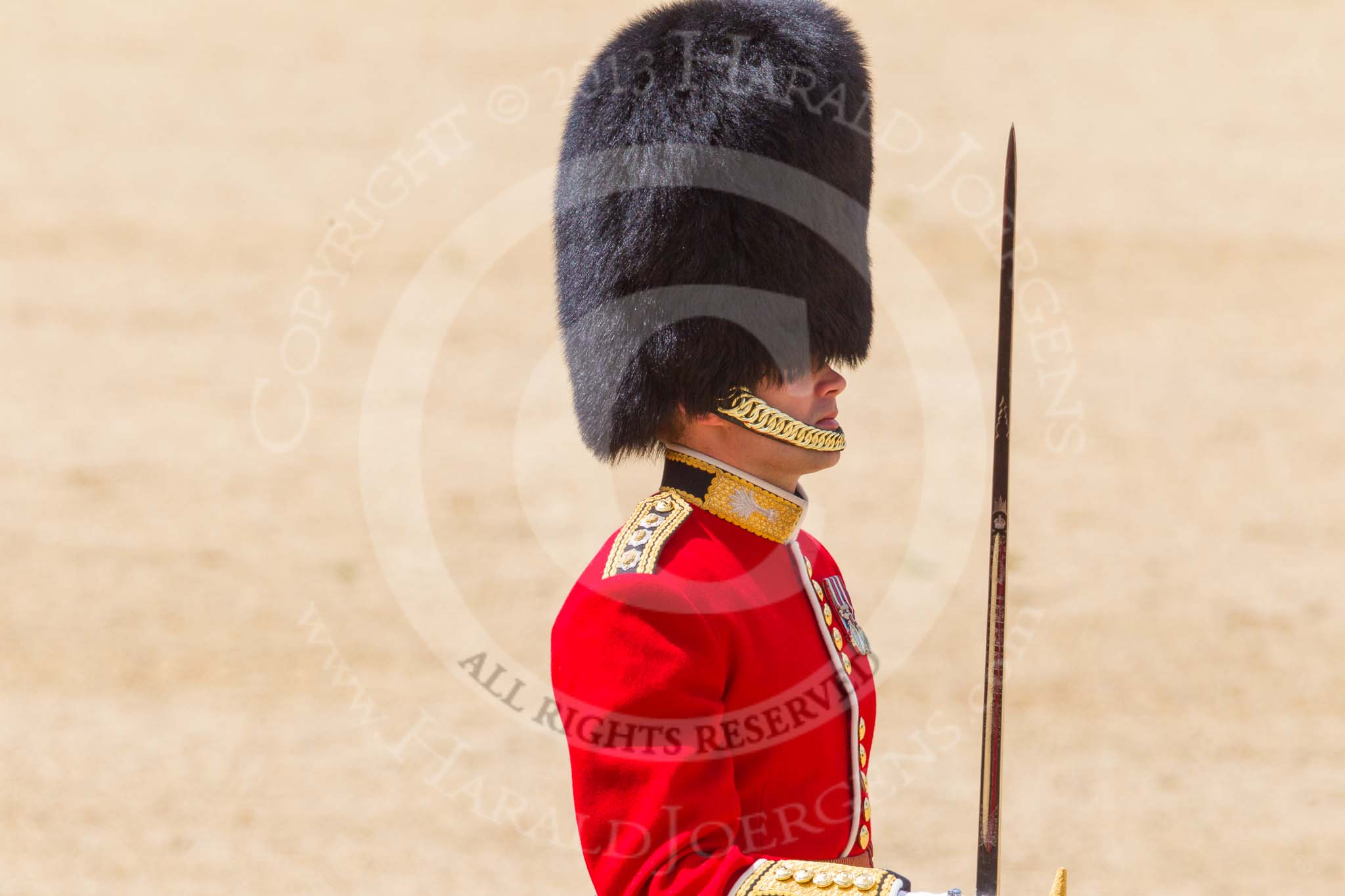 The Colonel's Review 2015.
Horse Guards Parade, Westminster,
London,

United Kingdom,
on 06 June 2015 at 11:34, image #380