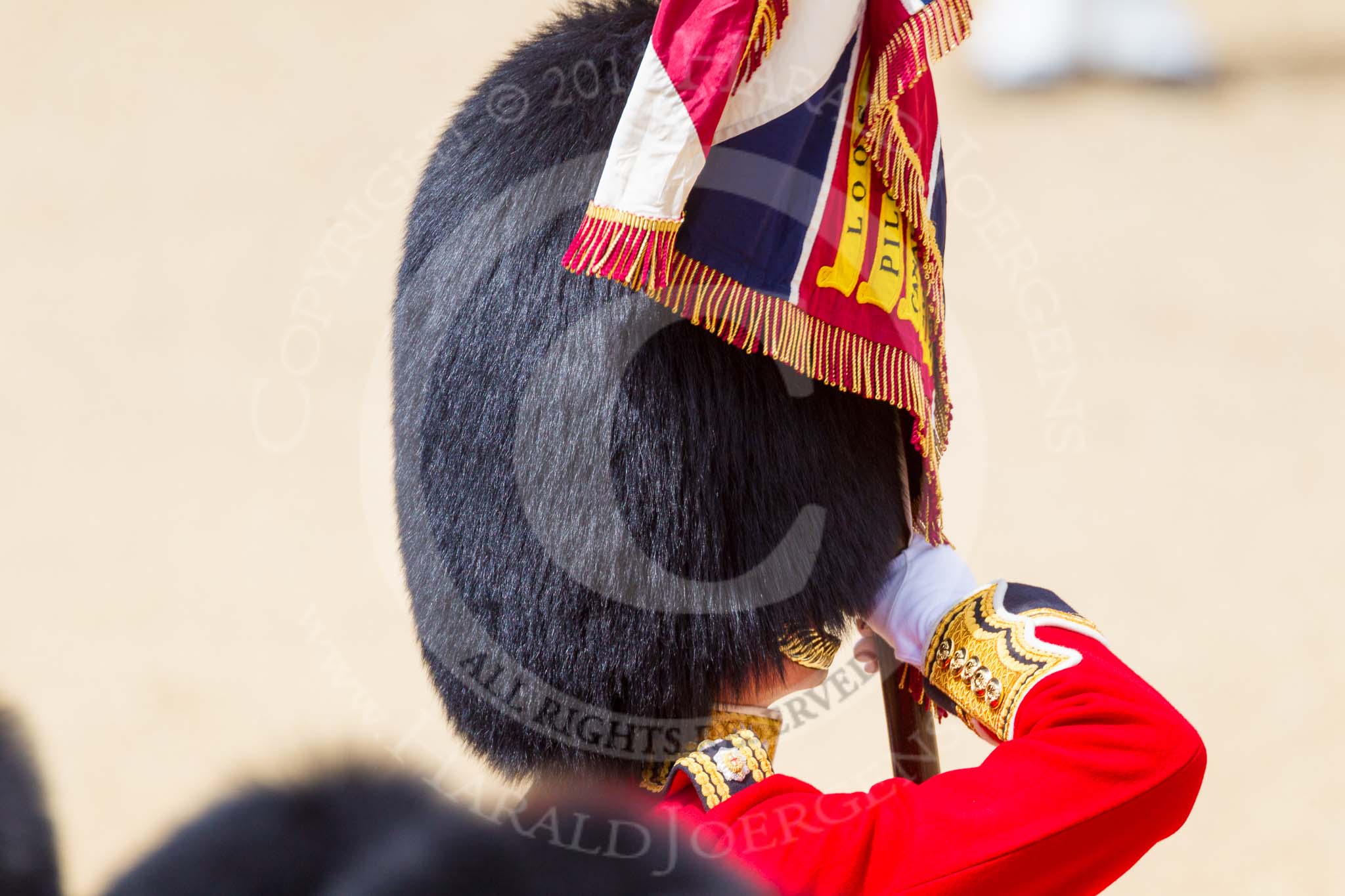 The Colonel's Review 2015.
Horse Guards Parade, Westminster,
London,

United Kingdom,
on 06 June 2015 at 11:34, image #382