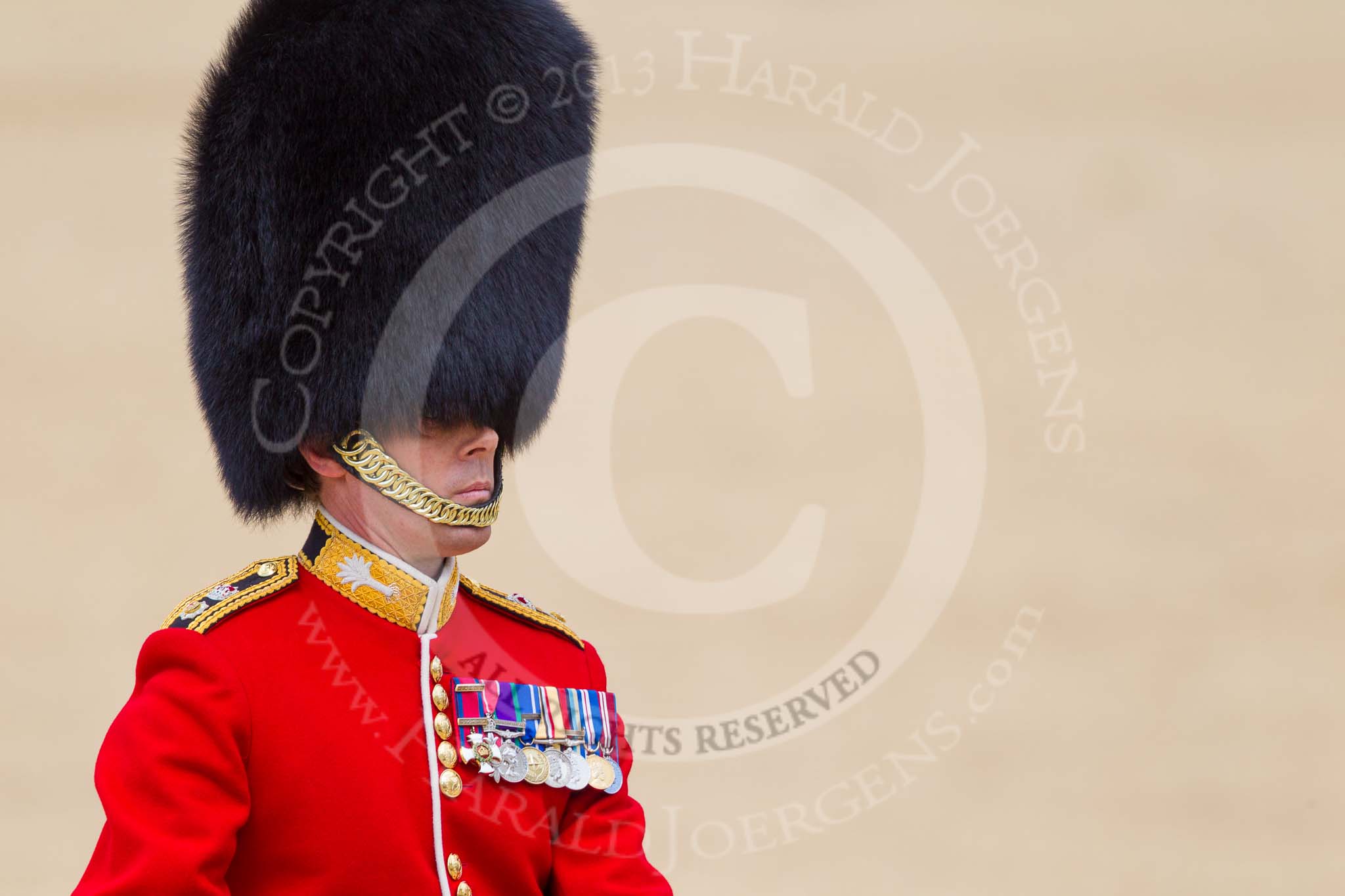 The Colonel's Review 2015.
Horse Guards Parade, Westminster,
London,

United Kingdom,
on 06 June 2015 at 11:38, image #403