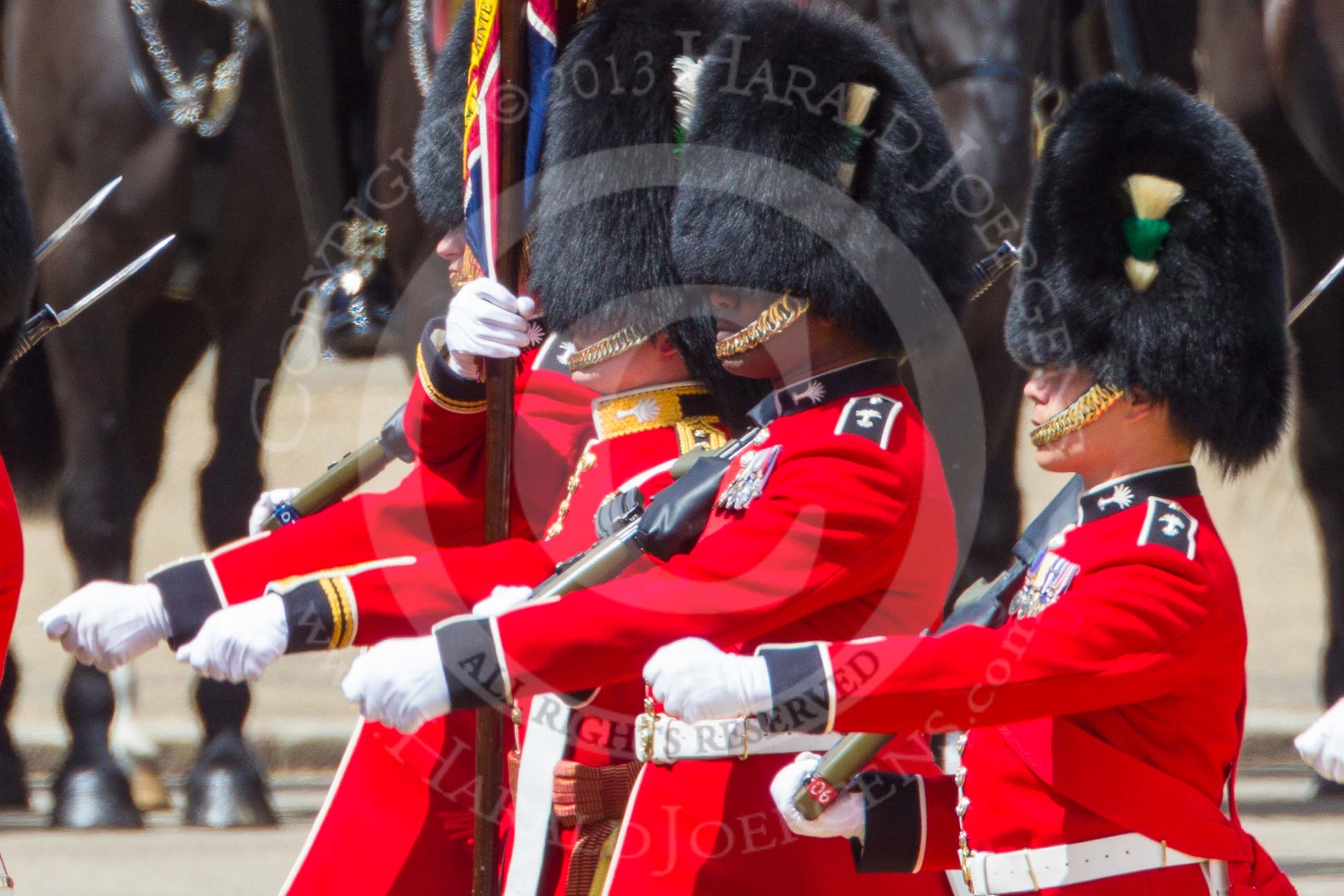 The Colonel's Review 2015.
Horse Guards Parade, Westminster,
London,

United Kingdom,
on 06 June 2015 at 11:40, image #418