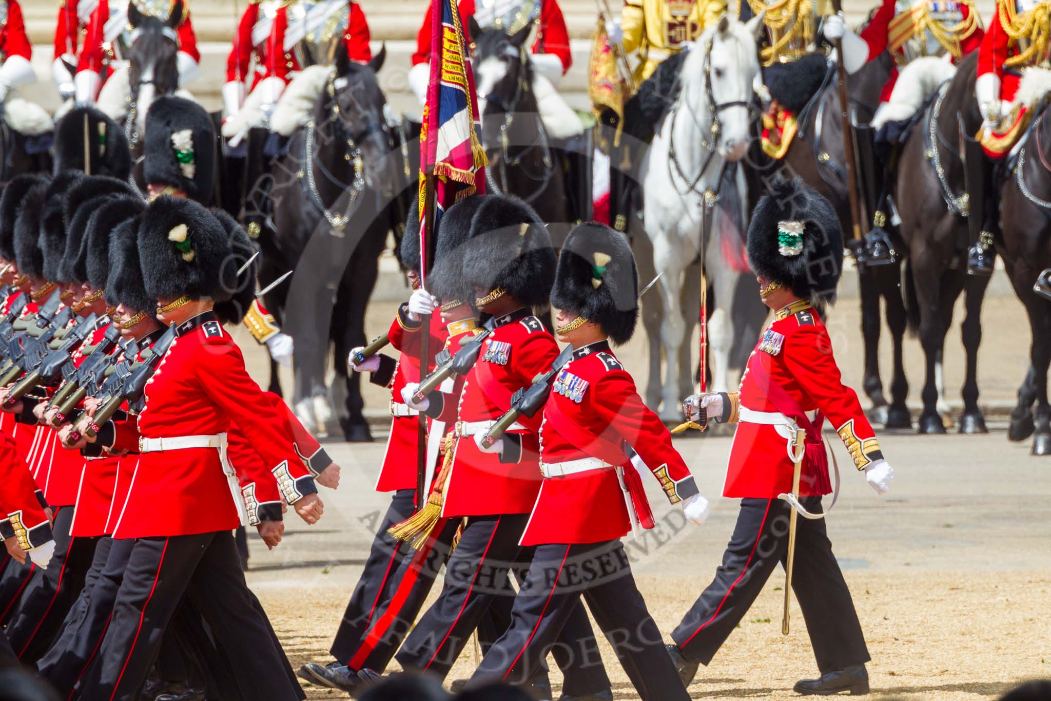 The Colonel's Review 2015.
Horse Guards Parade, Westminster,
London,

United Kingdom,
on 06 June 2015 at 11:40, image #419
