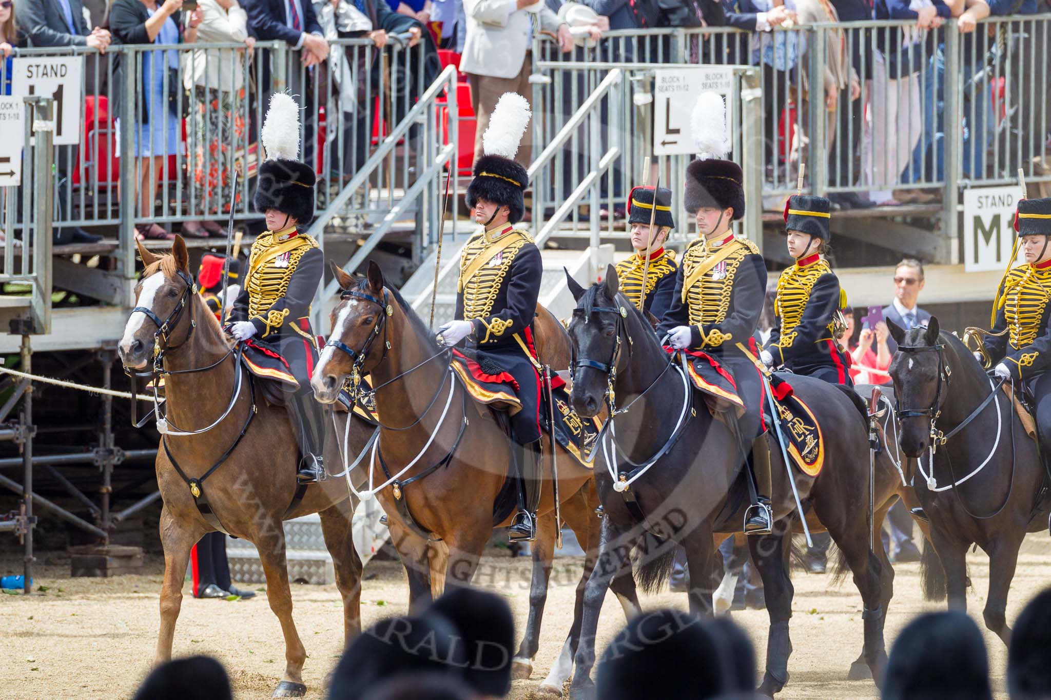 The Colonel's Review 2015.
Horse Guards Parade, Westminster,
London,

United Kingdom,
on 06 June 2015 at 11:51, image #472