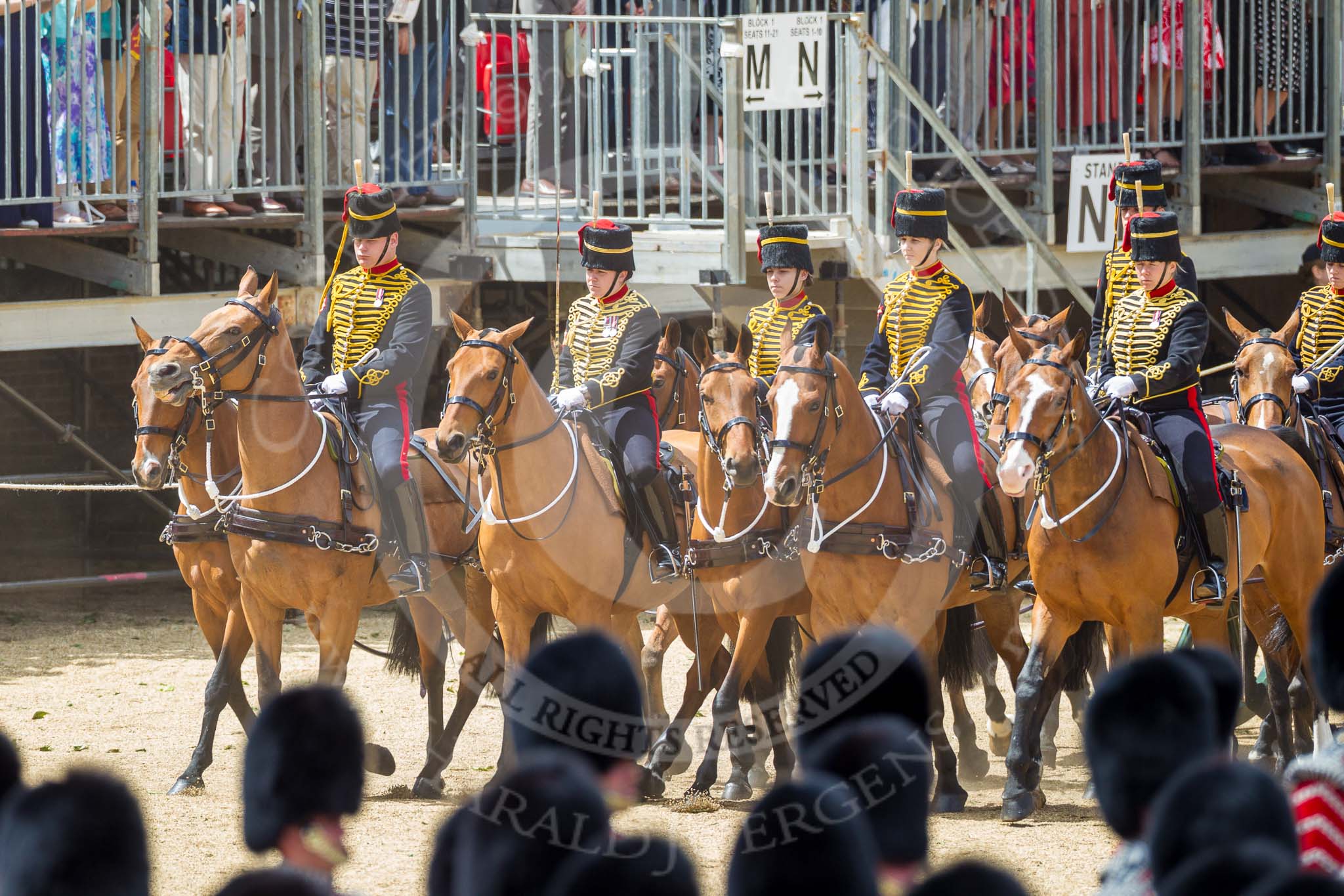 The Colonel's Review 2015.
Horse Guards Parade, Westminster,
London,

United Kingdom,
on 06 June 2015 at 11:51, image #473