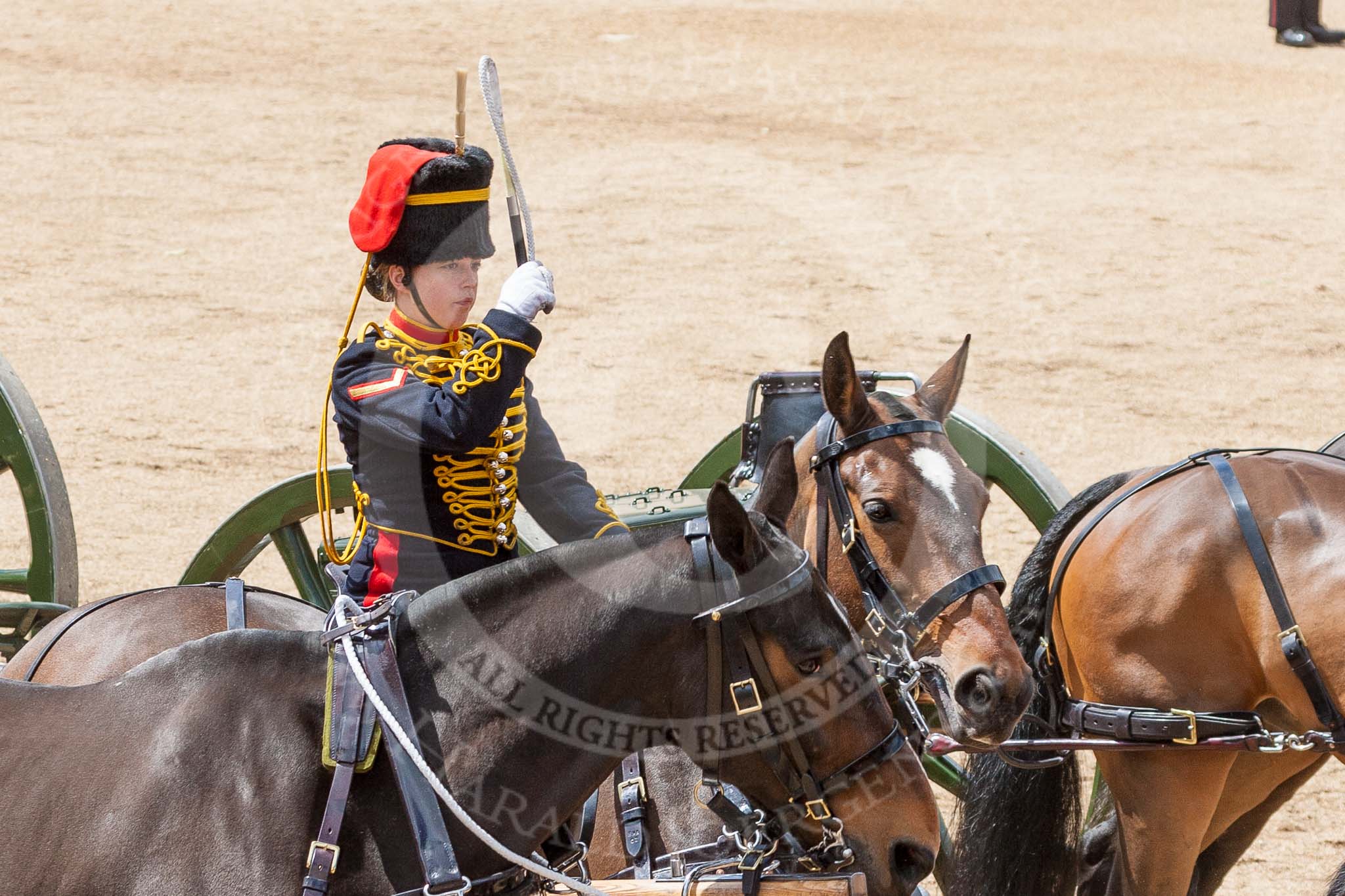 The Colonel's Review 2015.
Horse Guards Parade, Westminster,
London,

United Kingdom,
on 06 June 2015 at 11:53, image #487
