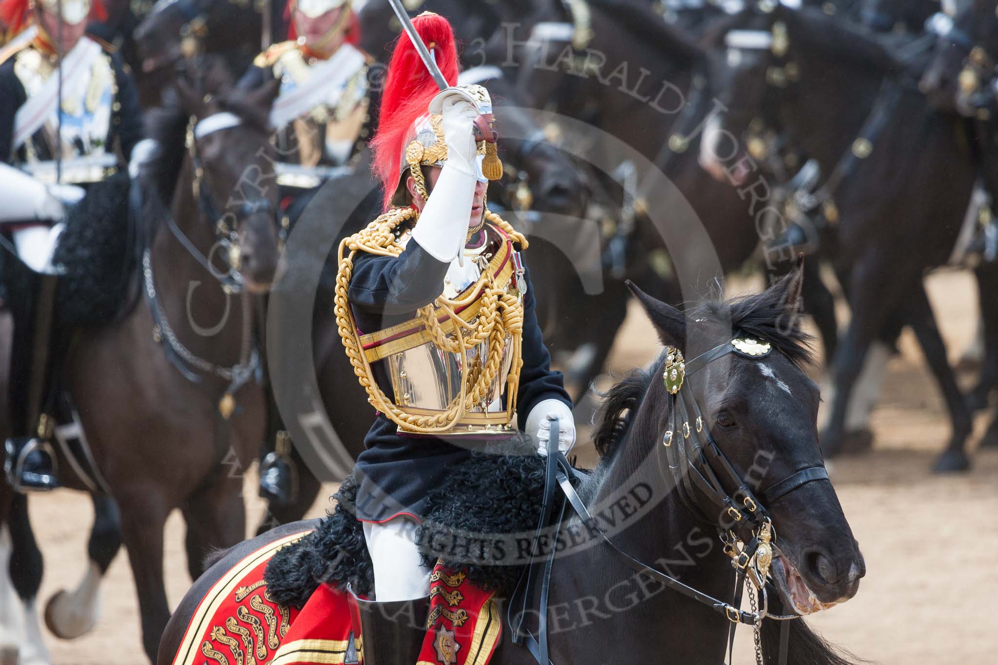 The Colonel's Review 2015.
Horse Guards Parade, Westminster,
London,

United Kingdom,
on 06 June 2015 at 11:54, image #502