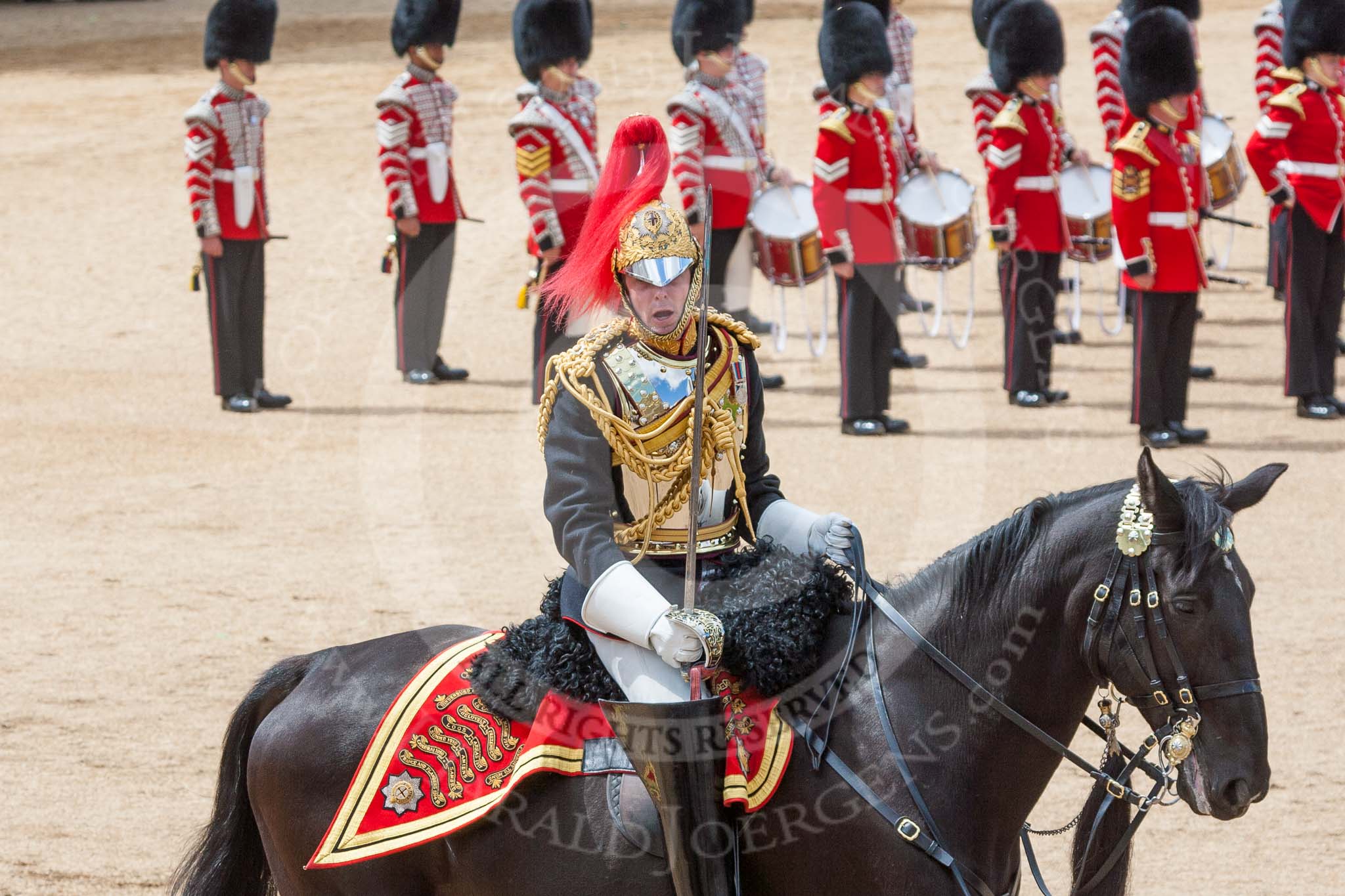 The Colonel's Review 2015.
Horse Guards Parade, Westminster,
London,

United Kingdom,
on 06 June 2015 at 11:54, image #503