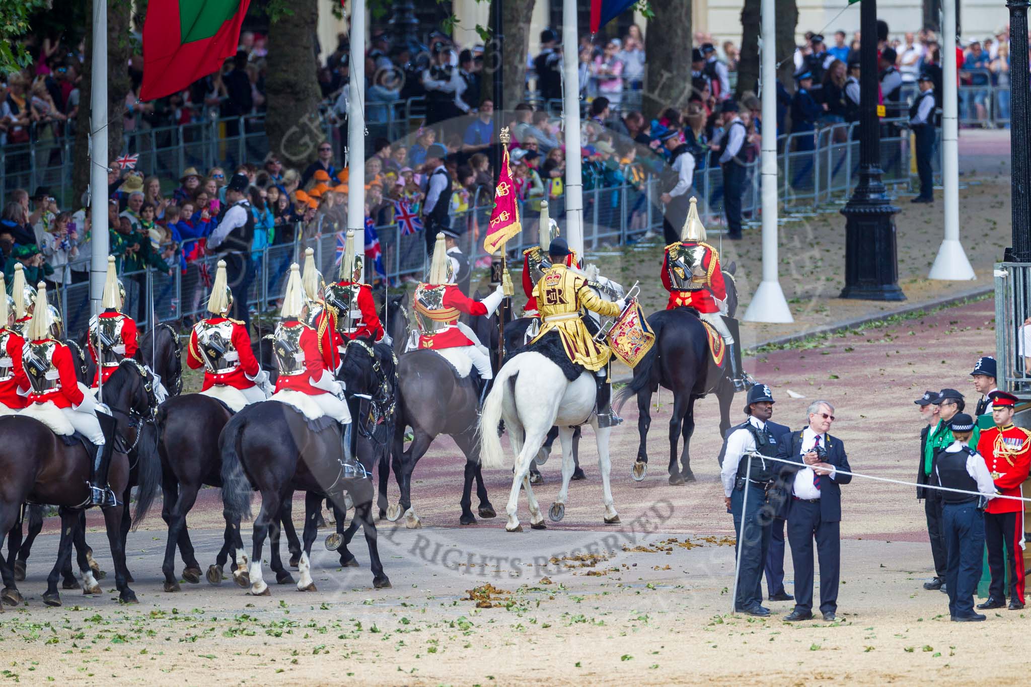 The Colonel's Review 2015.
Horse Guards Parade, Westminster,
London,

United Kingdom,
on 06 June 2015 at 12:03, image #569