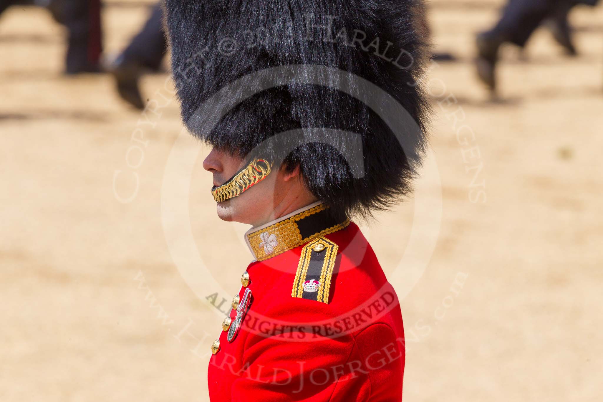The Colonel's Review 2015.
Horse Guards Parade, Westminster,
London,

United Kingdom,
on 06 June 2015 at 12:07, image #579