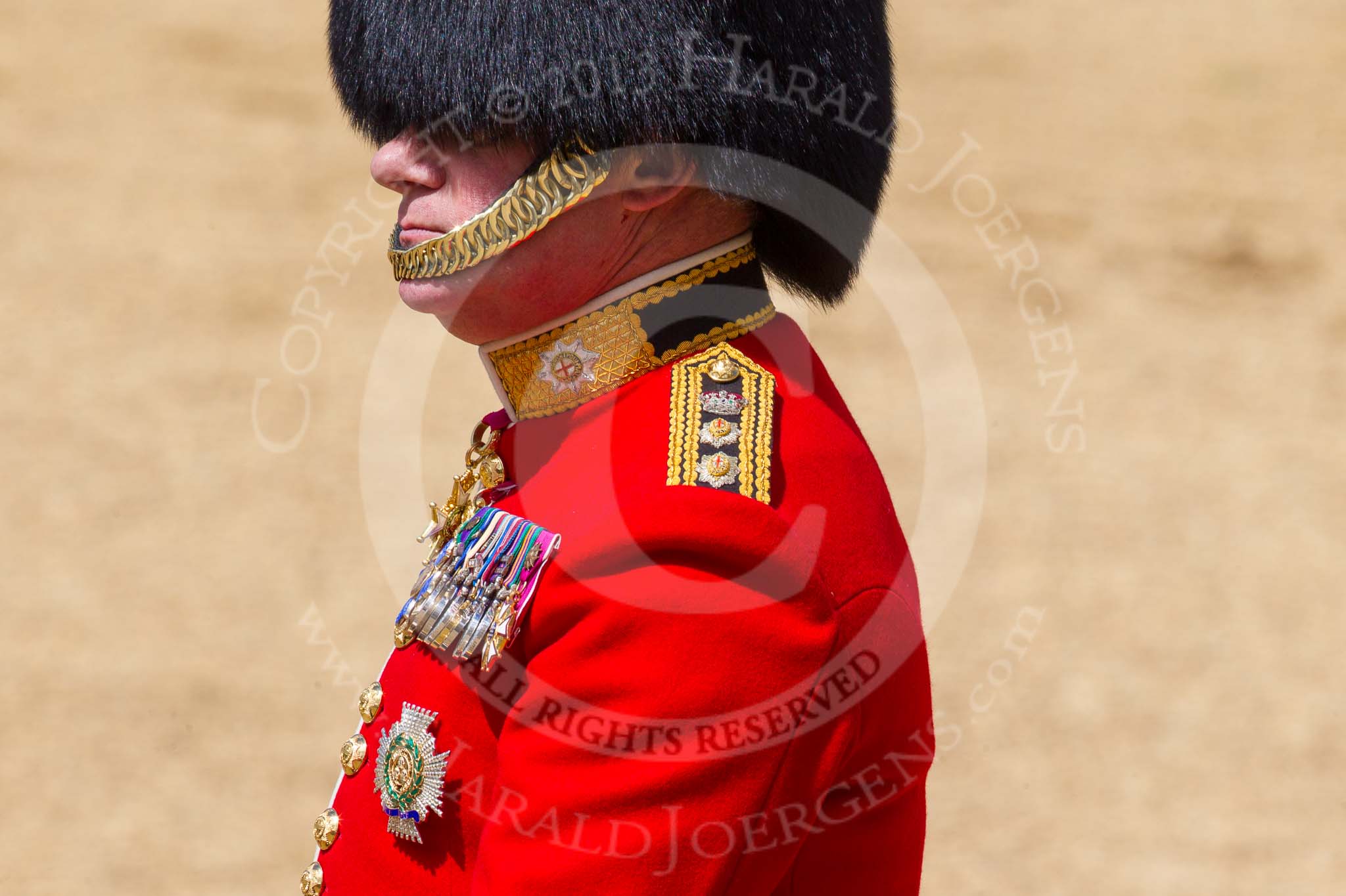 The Colonel's Review 2015.
Horse Guards Parade, Westminster,
London,

United Kingdom,
on 06 June 2015 at 12:07, image #581