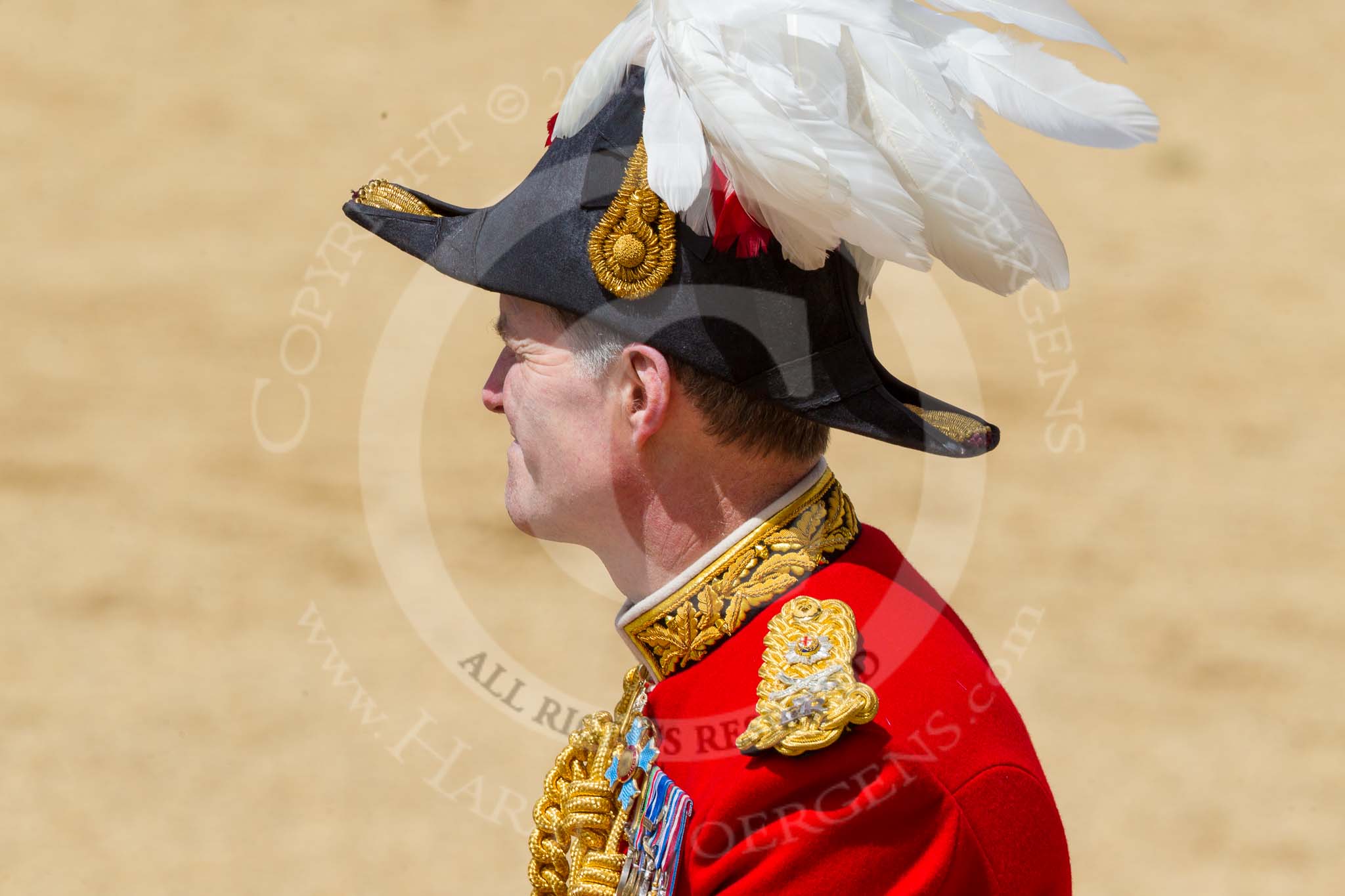 The Colonel's Review 2015.
Horse Guards Parade, Westminster,
London,

United Kingdom,
on 06 June 2015 at 12:07, image #582
