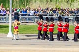 The Colonel's Review 2015.
Horse Guards Parade, Westminster,
London,

United Kingdom,
on 06 June 2015 at 10:14, image #27