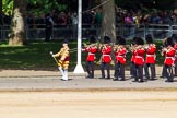 The Colonel's Review 2015.
Horse Guards Parade, Westminster,
London,

United Kingdom,
on 06 June 2015 at 10:15, image #31