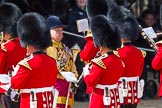 The Colonel's Review 2015.
Horse Guards Parade, Westminster,
London,

United Kingdom,
on 06 June 2015 at 10:18, image #40