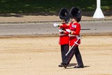 The Colonel's Review 2015.
Horse Guards Parade, Westminster,
London,

United Kingdom,
on 06 June 2015 at 10:19, image #43