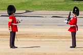 The Colonel's Review 2015.
Horse Guards Parade, Westminster,
London,

United Kingdom,
on 06 June 2015 at 10:19, image #45
