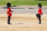The Colonel's Review 2015.
Horse Guards Parade, Westminster,
London,

United Kingdom,
on 06 June 2015 at 10:19, image #46
