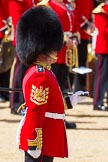 The Colonel's Review 2015.
Horse Guards Parade, Westminster,
London,

United Kingdom,
on 06 June 2015 at 10:20, image #48