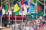 The Colonel's Review 2015.
Horse Guards Parade, Westminster,
London,

United Kingdom,
on 06 June 2015 at 10:23, image #51
