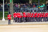 The Colonel's Review 2015.
Horse Guards Parade, Westminster,
London,

United Kingdom,
on 06 June 2015 at 10:25, image #56