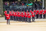 The Colonel's Review 2015.
Horse Guards Parade, Westminster,
London,

United Kingdom,
on 06 June 2015 at 10:25, image #57