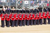 The Colonel's Review 2015.
Horse Guards Parade, Westminster,
London,

United Kingdom,
on 06 June 2015 at 10:26, image #59
