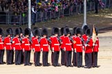 The Colonel's Review 2015.
Horse Guards Parade, Westminster,
London,

United Kingdom,
on 06 June 2015 at 10:26, image #60