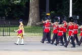 The Colonel's Review 2015.
Horse Guards Parade, Westminster,
London,

United Kingdom,
on 06 June 2015 at 10:27, image #66