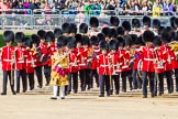 The Colonel's Review 2015.
Horse Guards Parade, Westminster,
London,

United Kingdom,
on 06 June 2015 at 10:28, image #75