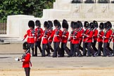 The Colonel's Review 2015.
Horse Guards Parade, Westminster,
London,

United Kingdom,
on 06 June 2015 at 10:31, image #93