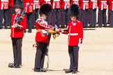 The Colonel's Review 2015.
Horse Guards Parade, Westminster,
London,

United Kingdom,
on 06 June 2015 at 10:35, image #104