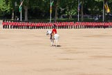 The Colonel's Review 2015.
Horse Guards Parade, Westminster,
London,

United Kingdom,
on 06 June 2015 at 10:37, image #119