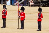 The Colonel's Review 2015.
Horse Guards Parade, Westminster,
London,

United Kingdom,
on 06 June 2015 at 10:39, image #124