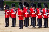 The Colonel's Review 2015.
Horse Guards Parade, Westminster,
London,

United Kingdom,
on 06 June 2015 at 10:42, image #131