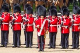 The Colonel's Review 2015.
Horse Guards Parade, Westminster,
London,

United Kingdom,
on 06 June 2015 at 10:42, image #132
