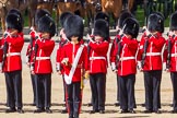 The Colonel's Review 2015.
Horse Guards Parade, Westminster,
London,

United Kingdom,
on 06 June 2015 at 10:43, image #133
