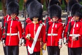 The Colonel's Review 2015.
Horse Guards Parade, Westminster,
London,

United Kingdom,
on 06 June 2015 at 10:43, image #134