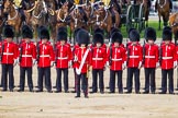 The Colonel's Review 2015.
Horse Guards Parade, Westminster,
London,

United Kingdom,
on 06 June 2015 at 10:43, image #135