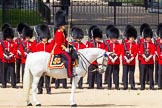 The Colonel's Review 2015.
Horse Guards Parade, Westminster,
London,

United Kingdom,
on 06 June 2015 at 10:47, image #139