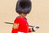 The Colonel's Review 2015.
Horse Guards Parade, Westminster,
London,

United Kingdom,
on 06 June 2015 at 10:52, image #153