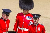 The Colonel's Review 2015.
Horse Guards Parade, Westminster,
London,

United Kingdom,
on 06 June 2015 at 10:55, image #157