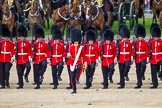 The Colonel's Review 2015.
Horse Guards Parade, Westminster,
London,

United Kingdom,
on 06 June 2015 at 10:56, image #160