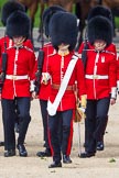 The Colonel's Review 2015.
Horse Guards Parade, Westminster,
London,

United Kingdom,
on 06 June 2015 at 10:56, image #161