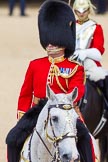 The Colonel's Review 2015.
Horse Guards Parade, Westminster,
London,

United Kingdom,
on 06 June 2015 at 10:57, image #168