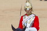 The Colonel's Review 2015.
Horse Guards Parade, Westminster,
London,

United Kingdom,
on 06 June 2015 at 10:57, image #169